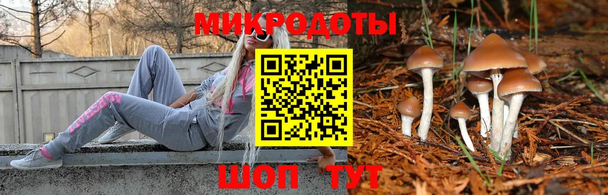 Галлюциногенные грибы MAGIC MUSHROOMS  Вход с VPN  Кумертау 